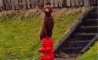 Fun Pic - Donnerstags Fun PicDump #139 - 23