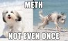 Fun Pic - Donnerstags Fun PicDump #141 - 100