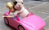 Fun Pic - Donnerstags Fun PicDump #141 - 48