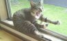 Fun Pic - Donnerstags Fun PicDump #142 - 101