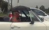 Fun Pic - Donnerstags Fun PicDump #146 - 102