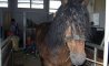 Fun Pic - Donnerstags Fun PicDump #146 - 18