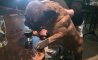 Fun Pic - Donnerstags Fun PicDump #146 - 40