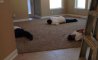 Fun Pic - Donnerstags Fun PicDump #147 - 143
