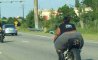 Fun Pic - Donnerstags Fun PicDump #151 - 13