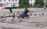Fun Pic - Donnerstags Fun PicDump #152 - 151