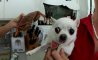 Fun Pic - Donnerstags Fun PicDump #152 - 31
