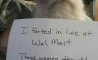 Fun Pic - Donnerstags Fun PicDump #154 - 40