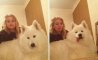 Fun Pic - Donnerstags Fun PicDump #157 - 27