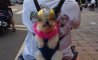 Fun Pic - Donnerstags Fun PicDump #157 - 47