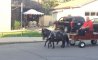 Fun Pic - Donnerstags Fun PicDump #158 - 74