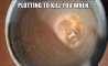 Fun Pic - Donnerstags Fun PicDump #158 - 94