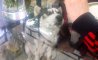 Fun Pic - Donnerstags Fun PicDump #160 - 39