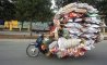 Fun Pic - Donnerstags Fun PicDump #162 - 26