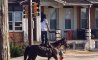 Fun Pic - Donnerstags Fun PicDump #162 - 94