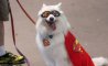 Fun Pic - Donnerstags Fun PicDump #165 - 116