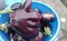 Fun Pic - Donnerstags Fun PicDump #165 - 124