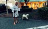 Fun Pic - Donnerstags Fun PicDump #165 - 16