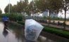 Fun Pic - Donnerstags Fun PicDump #165 - 4