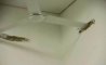 Fun Pic - Donnerstags Fun PicDump #165 - 40