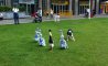 Fun Pic - Donnerstags Fun PicDump #165 - 52
