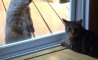 Fun Pic - Donnerstags Fun PicDump #165 - 60