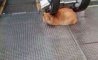 Fun Pic - Donnerstags Fun PicDump #165 - 68