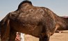 Fun Pic - Donnerstags Fun PicDump #166 - 138