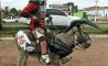 Fun Pic - Donnerstags Fun PicDump #170 - 113