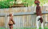 Fun Pic - Donnerstags Fun PicDump #170 - 53