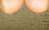 Fun Pic - Donnerstags Fun PicDump #170 - 77