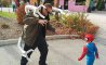Fun Pic - Donnerstags Fun PicDump #172 - 42