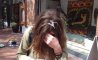 Fun Pic - Donnerstags Fun PicDump #173 - 104