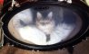 Fun Pic - Donnerstags Fun PicDump #173 - 96