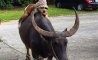 Fun Pic - Donnerstags Fun PicDump #174 - 89