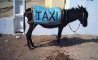 Fun Pic - Donnerstags Fun PicDump #176 - 4