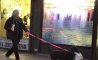 Fun Pic - Donnerstags Fun PicDump #176 - 40
