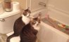 Fun Pic - Donnerstags Fun PicDump #176 - 44