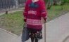 Fun Pic - Donnerstags Fun PicDump #177 - 20