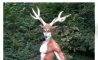 Fun Pic - Donnerstags Fun PicDump #177 - 4