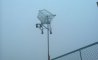 Fun Pic - Donnerstags Fun PicDump #178 - 30