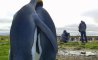 Fun Pic - Donnerstags Fun PicDump #179 - 121