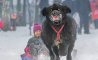 Fun Pic - Donnerstags Fun PicDump #179 - 17