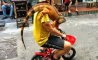 Fun Pic - Donnerstags Fun PicDump #179 - 23