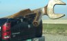 Fun Pic - Donnerstags Fun PicDump #181 - 46