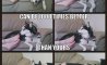 Fun Pic - Donnerstag Fun PicDump #201 - 105