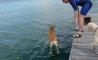 Fun Pic - Donnerstag Fun PicDump #204 - 76