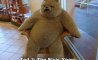Fun Pic - Donnerstag Fun PicDump #204 - 8