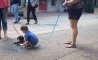 Fun Pic - Donnerstag Fun PicDump #232 - 24