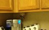 Fun Pic - Donnerstag Fun PicDump #232 - 60